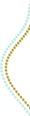 Wave 17